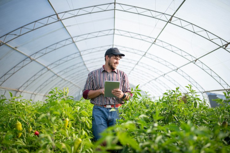 Agribusiness