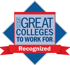 Great Colleges to Work For Logo