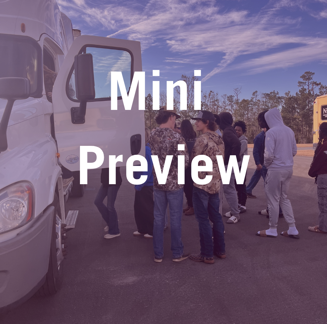 Mini Preview