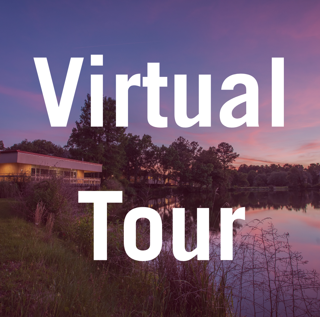 Virtual TOur