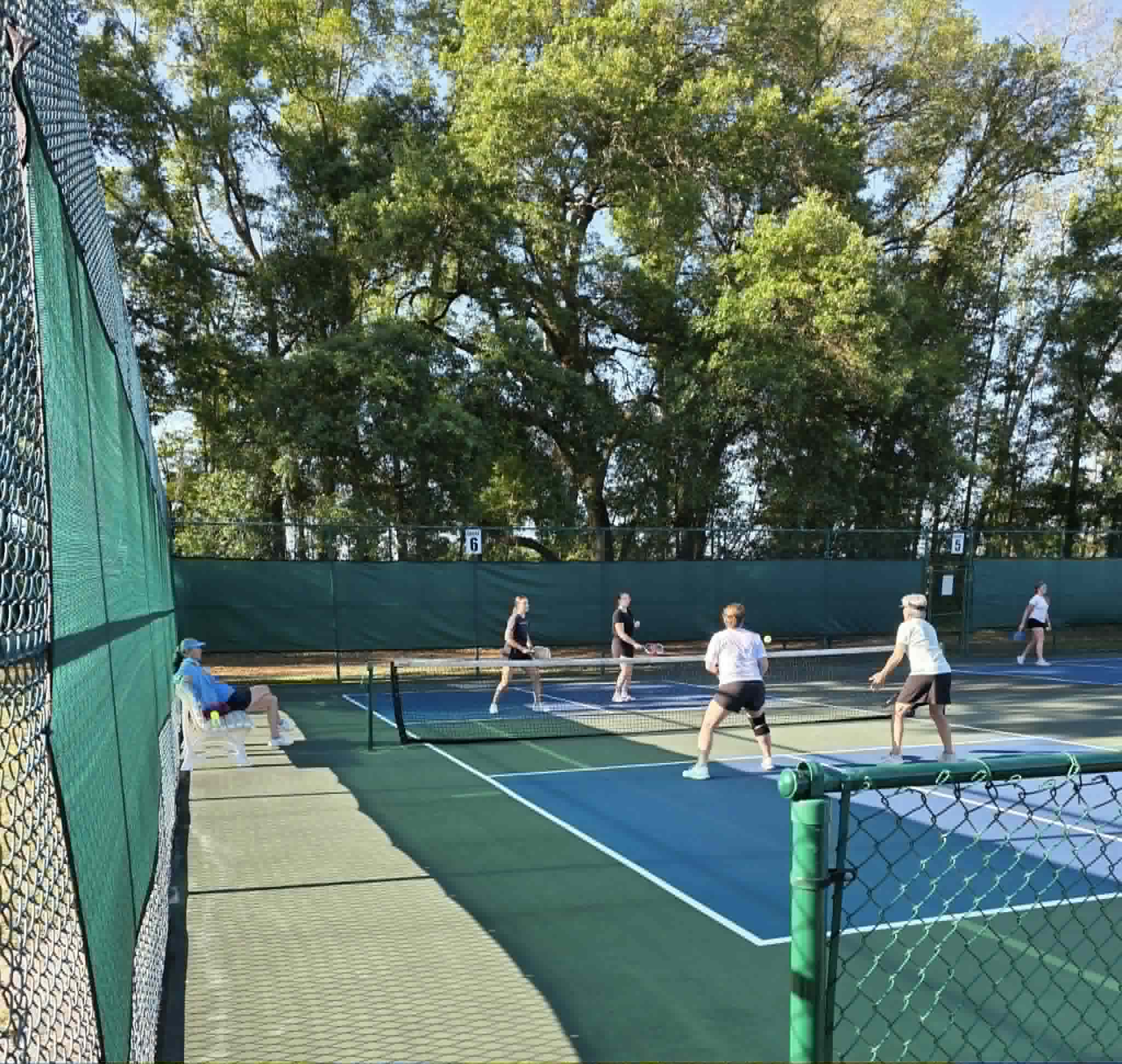 Pickleball